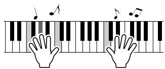 YAMAHA DGX-220 - ■ Performance assistant technology - 1