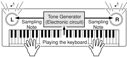 YAMAHA DGX-220 - What Is MIDI? - 2