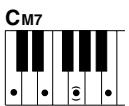 YAMAHA DGX-220 - Standard Chords - 5
