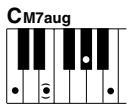 YAMAHA DGX-220 - Standard Chords - 12