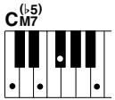 YAMAHA DGX-220 - Standard Chords - 9