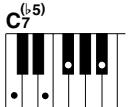 YAMAHA DGX-220 - Standard Chords - 32