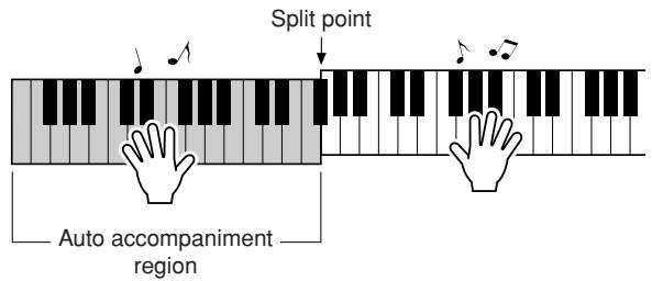 YAMAHA DGX-220 - Play a variety of left-hand chords while playing a melody with your right hand. - 1