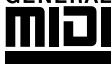 YAMAHA DGX-220 - Panel Logos - 1