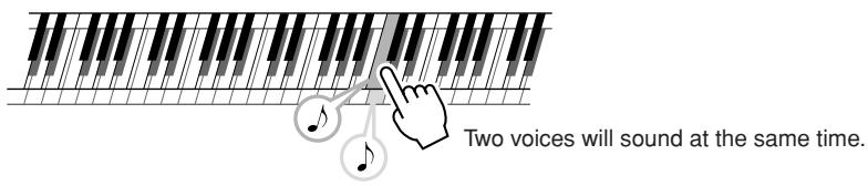 YAMAHA DGX-220 - Play the keyboard. - 1
