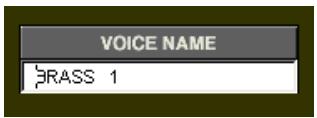 YAMAHA DXSIMULATOR - In the Edit List window: - 1