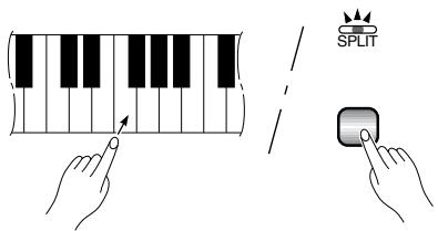 YAMAHA CLP-950-950M-950C-930 - - [REVERB] in the Split Mode - 1