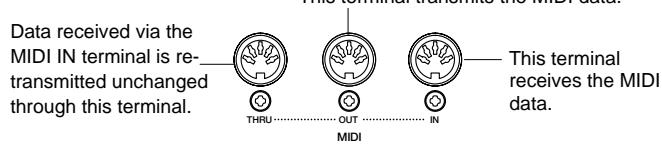 YAMAHA CVP-109-107-105-700 - MIDI Terminals - 1
