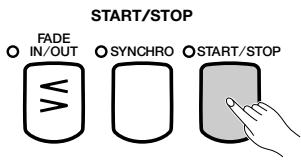 YAMAHA CVP-109-107-105-700 - Standard Stop - 1