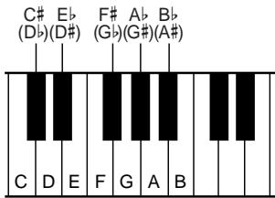 YAMAHA CVP-109-107-105-700 - NOTE - 1