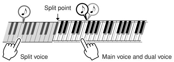 YAMAHA DGX-630 YPG-635 - Play Different Voices with the Left and Right Hands—SPLIT - 1