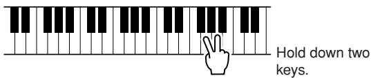 YAMAHA DGX-630 YPG-635 - - How to sound each Harmony Type - 4