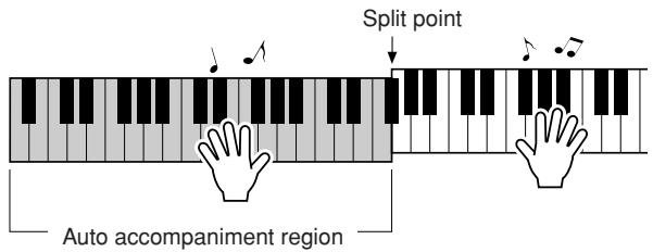 YAMAHA DGX-630 YPG-635 - Play a variety of left-hand chords while playing a melody with your right hand. - 1