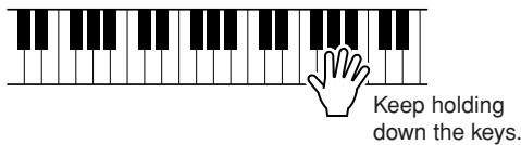 YAMAHA DGX-630 YPG-635 - - How to sound each Harmony Type - 2