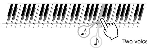 YAMAHA DGX-630 YPG-635 - Play the keyboard. - 1