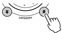 YAMAHA DGX-630 YPG-635 - CAUTION - 2