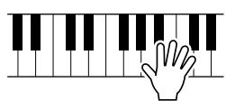 YAMAHA EZ-150 - Utilisation de la fonction lesson - 8