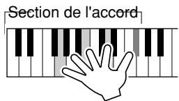 YAMAHA EZ-150 - Pour apprendre à jouer un accord spécifique - 5