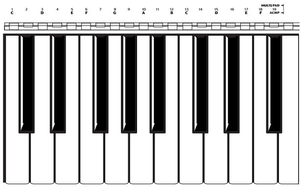 YAMAHA EZ-20 - Lancez la reproduction du morceau. - 3