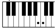 YAMAHA EZ-20 - Accords à un seul doigt - 3