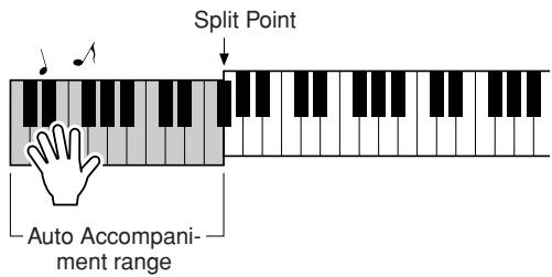 YAMAHA EZ-200 - The Style will begin playing as soon as you play a chord in the accompaniment range of the keyboard. - 1