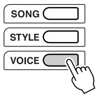 YAMAHA EZ-200 - Press the [VOICE] button. - 1