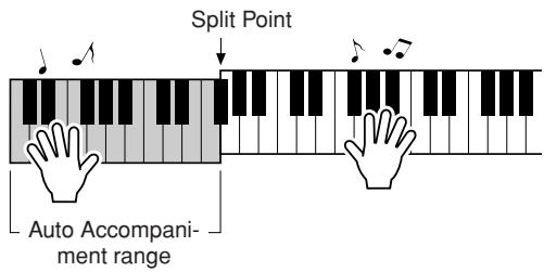 YAMAHA EZ-200 - Try playing other chords with your left hand and play a melody with your right hand. - 1