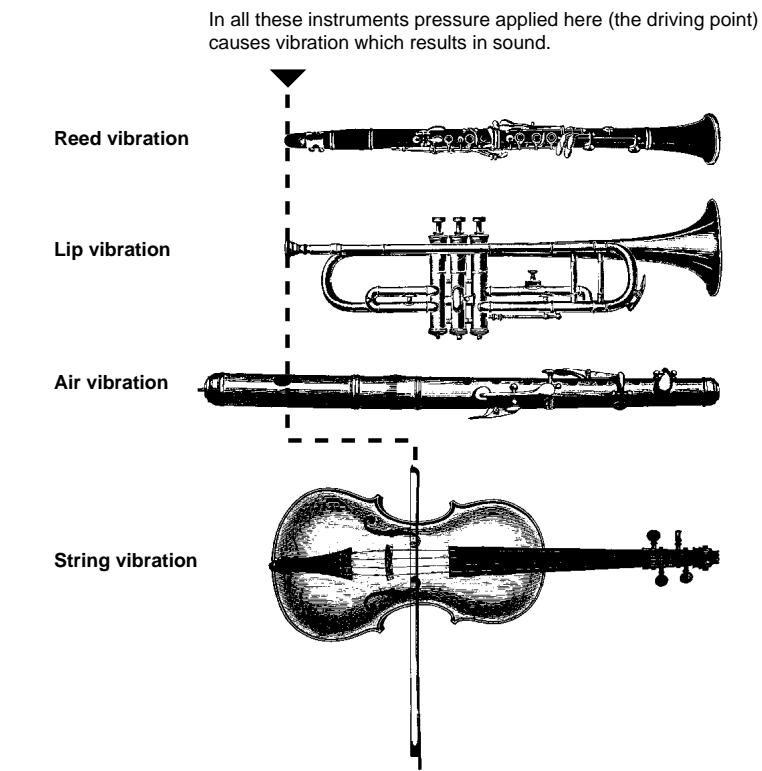 YAMAHA PLG150-VL - The Instrument - 1