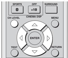 YAMAHA YSP-1000 - Notes - 1