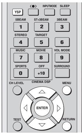 YAMAHA YSP-1000 - Using MANUAL SETUP - 1
