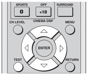 YAMAHA YSP-1000 - Notes - 1