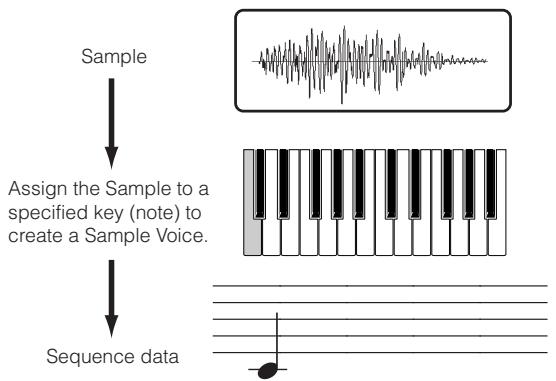 YAMAHA MOTIF ES6 - Note Data - 1
