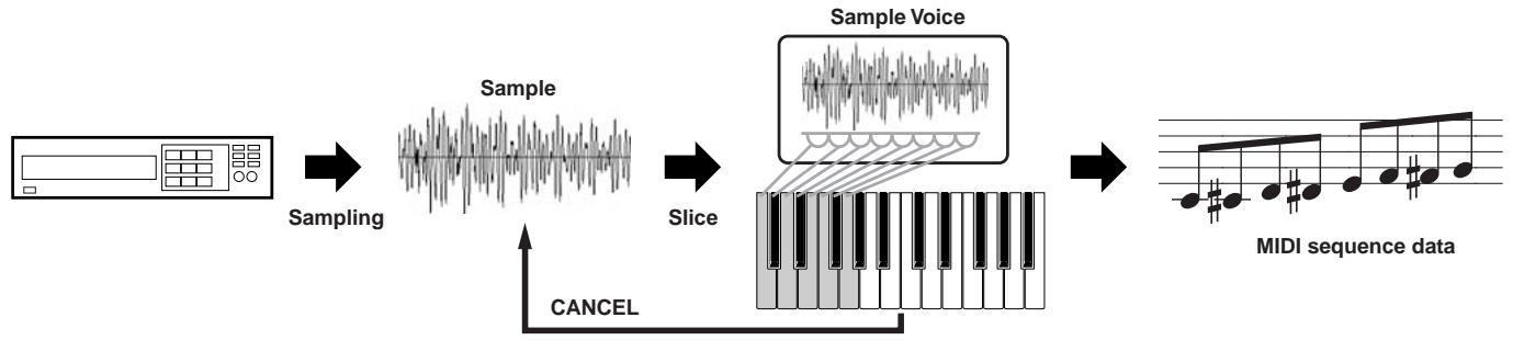 YAMAHA MOTIF ES6 - ■ Sampling a rhythm loop (audio data) to a Pattern track - 1