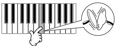 YAMAHA MOTIF ES6 - TIP Assigning drum/percussion instruments to individual keys - 2