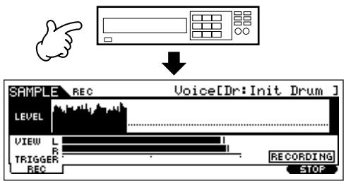 YAMAHA MOTIF ES6 - Start the external audio device. - 1