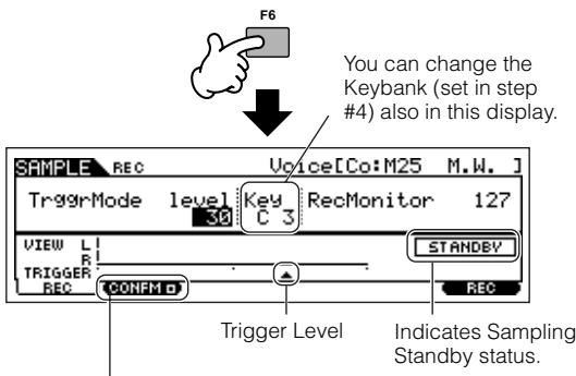 YAMAHA MOTIF ES6 - Press the [F6] REC button to call up the Sampling Record display (Sampling Standby status), then set the parameters as required. - 1