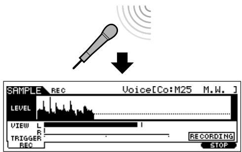 YAMAHA MOTIF ES6 - Sing into the microphone to start sampling. - 1