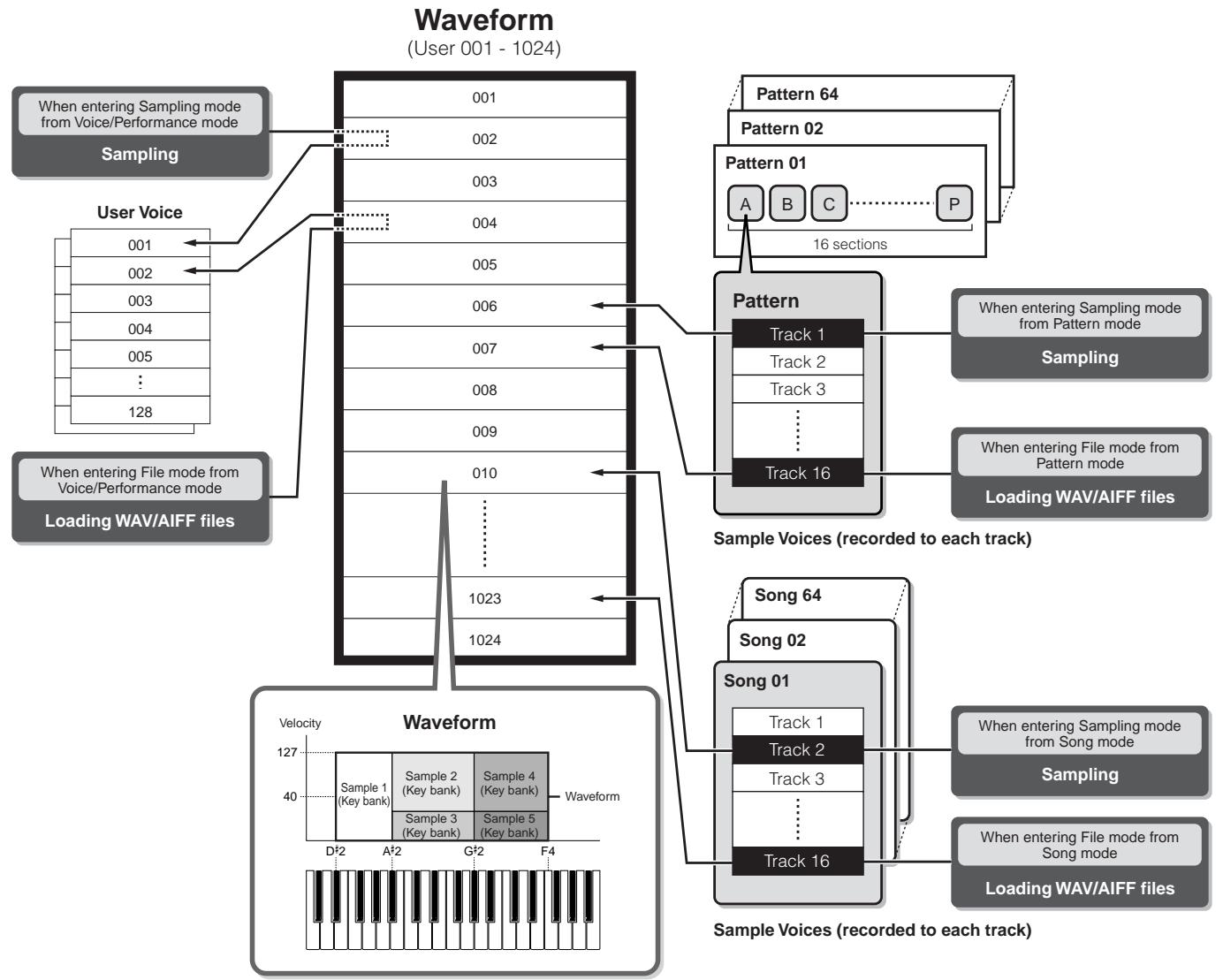 YAMAHA MOTIF ES6 - Waveform and User Voices/Sample Voices - 1