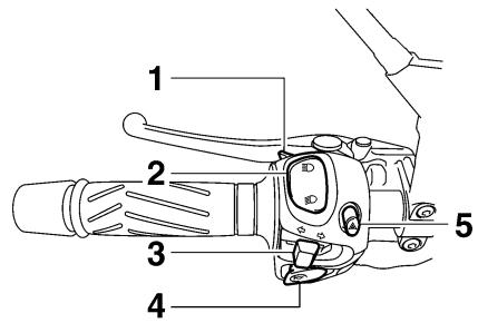 YAMAHA MT-01 - Handlebar switches - 1