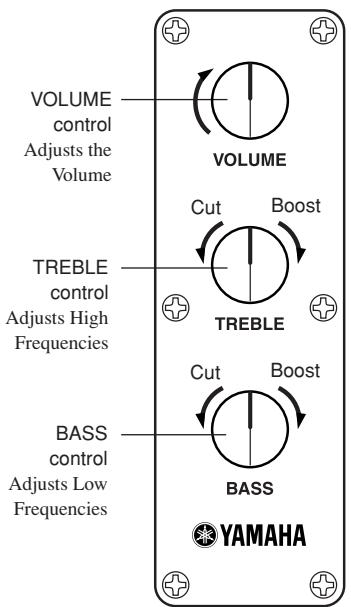 YAMAHA SLB200 - Controls - 1