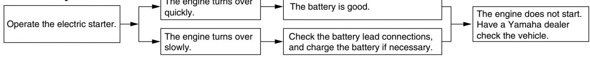YAMAHA TDM900 - Battery - 1