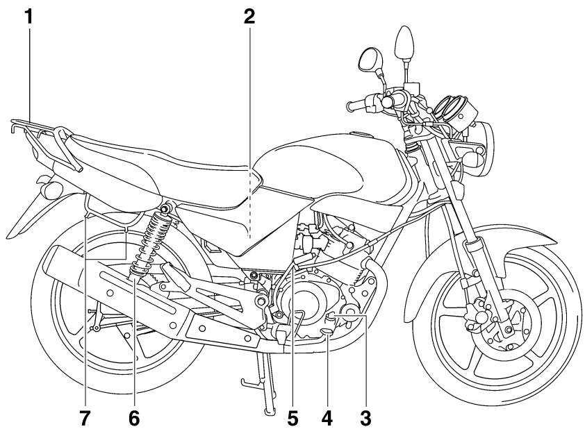 YAMAHA YBR125 - Right view - 1