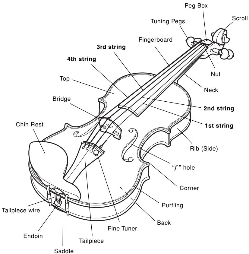 YAMAHA YVN500G - Cautions Relating to the Instrument - 1