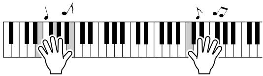 YAMAHA ARIUS YDP-V240 - Spielien Sie auf dem Keyboard. - 1