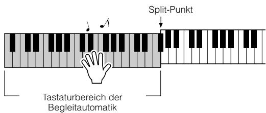 YAMAHA ARIUS YDP-V240 - Probieren Sie es aus! - 1