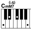 YAMAHA ARIUS YDP-V240 - Standardakkorde. - 20