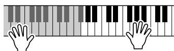 YAMAHA ARIUS YDP-V240 - So erzeugen Sie die einzelnen Harmony-Typen - 1