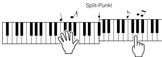 YAMAHA ARIUS YDP-V240 - Spieler Sie auf der Tastatur. Spieler Sie rechts des Split-Punkte - 1
