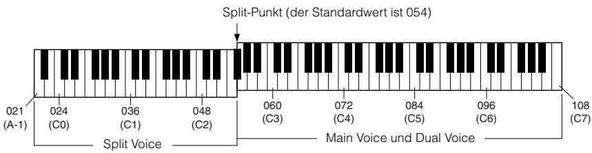 YAMAHA ARIUS YDP-V240 - Spielenverschiedener Voices mit der rechten und linken Hand - SPLIT - 1