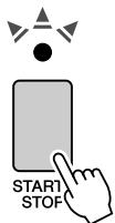 YAMAHA ARIUS YDP-V240 - Drucken Sie die [START/STOP]-Taste. - 7
